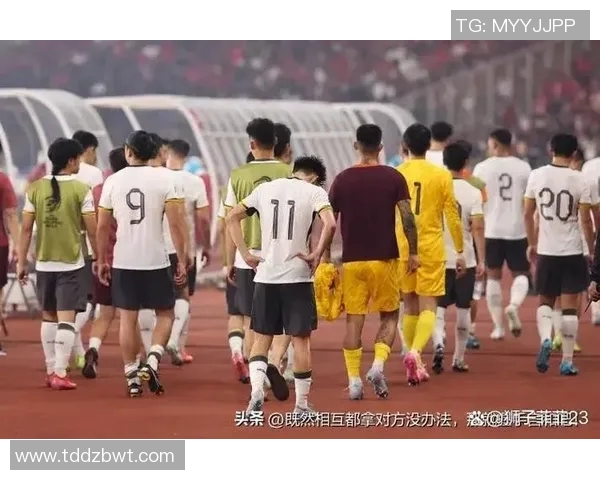 足球世界杯赛事热度与媒体报道