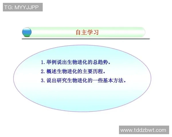 世界级排球比赛发球技术演化趋势及其对比赛策略的影响研究